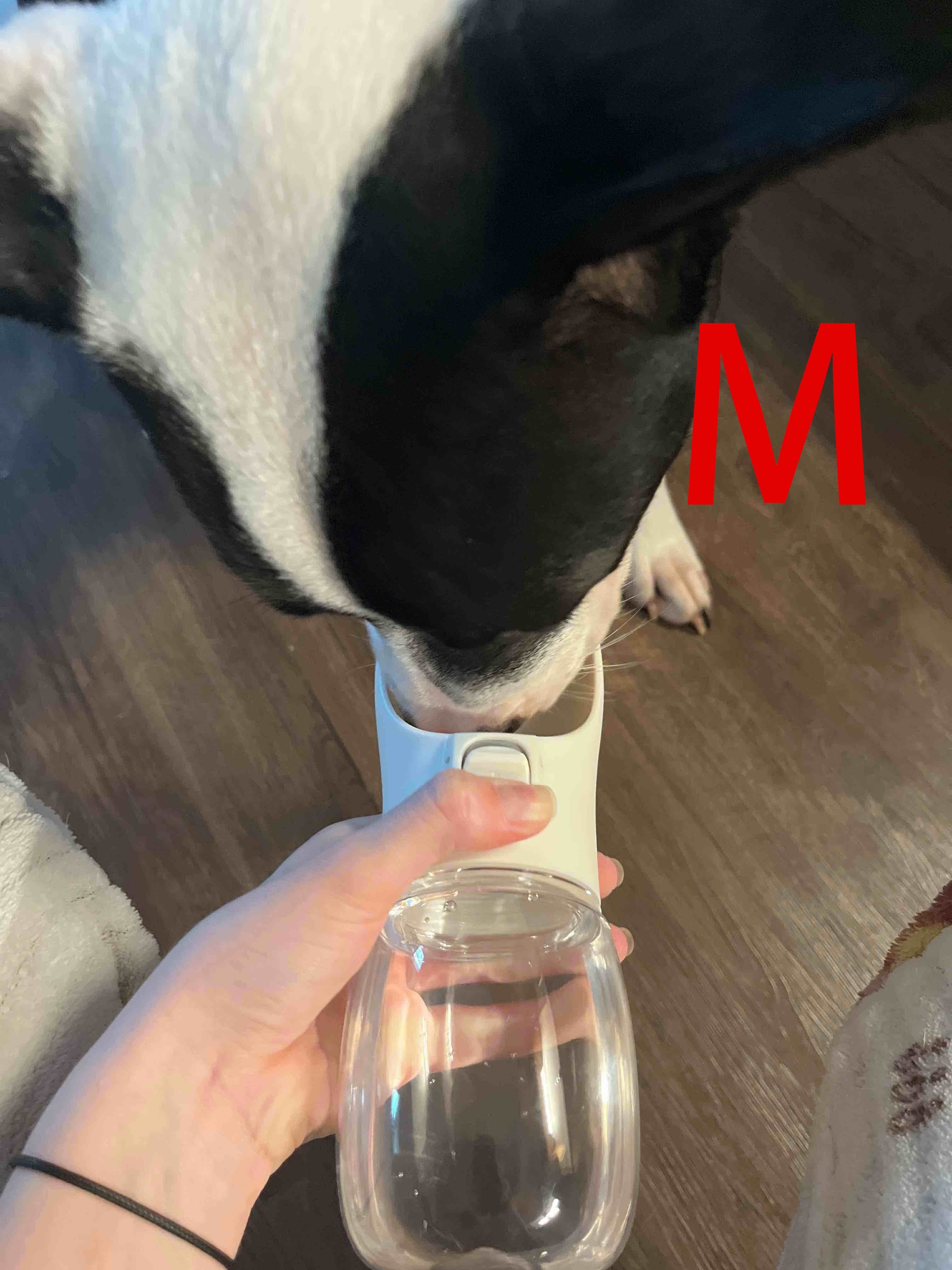 Portable Dog Water Bottle, Travel Cup for Dog Walking, Pet Water Dispenser and Feeder Accessories