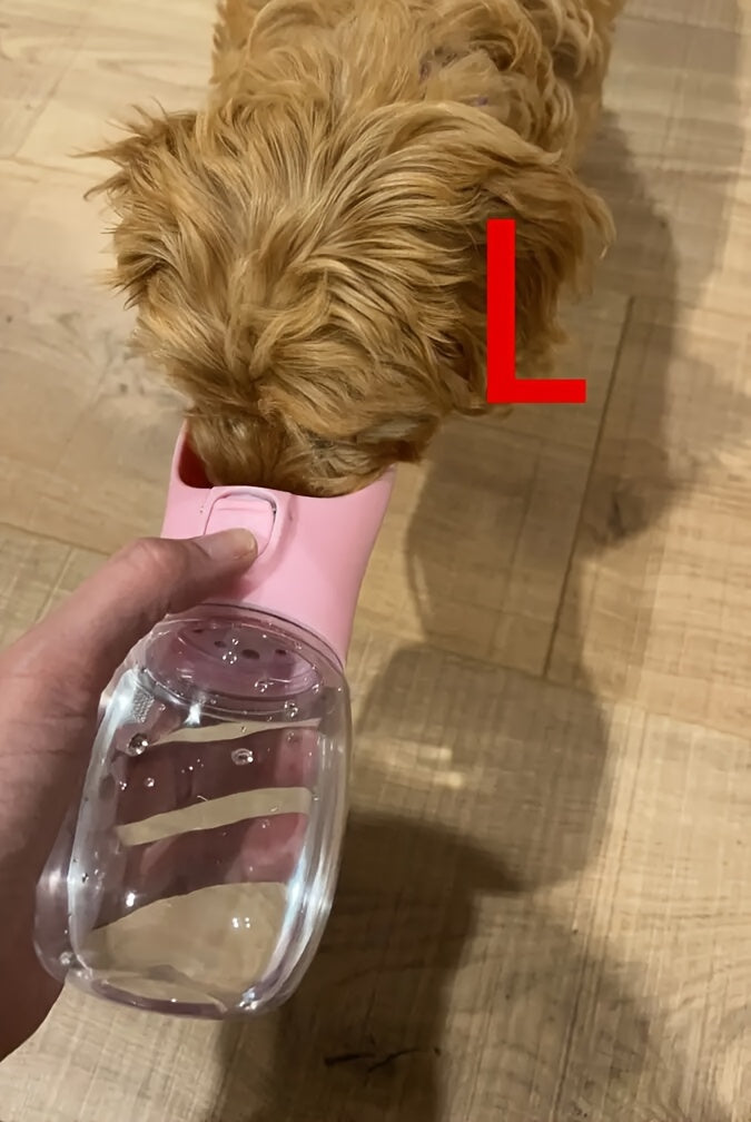 Portable Dog Water Bottle, Travel Cup for Dog Walking, Pet Water Dispenser and Feeder Accessories