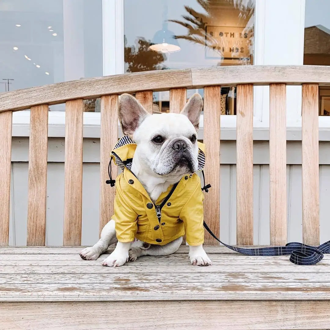 Pet Dog Clothes for Small Medium Dogs Waterproof Puppy Raincoat Fashion Cool Dog Jacket Coat Windproof Dogs Outfit Pet Supplie
