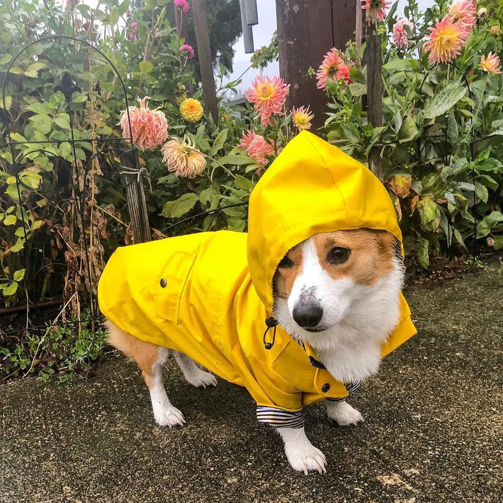Pet Dog Clothes for Small Medium Dogs Waterproof Puppy Raincoat Fashion Cool Dog Jacket Coat Windproof Dogs Outfit Pet Supplie