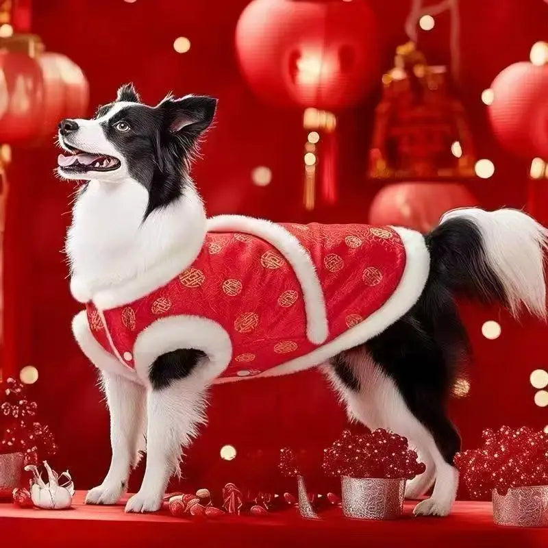 Chinese traditional pattern pet clothing, warm and comfortable dog clothes, suitable for medium to large dogs such as Golden Ret