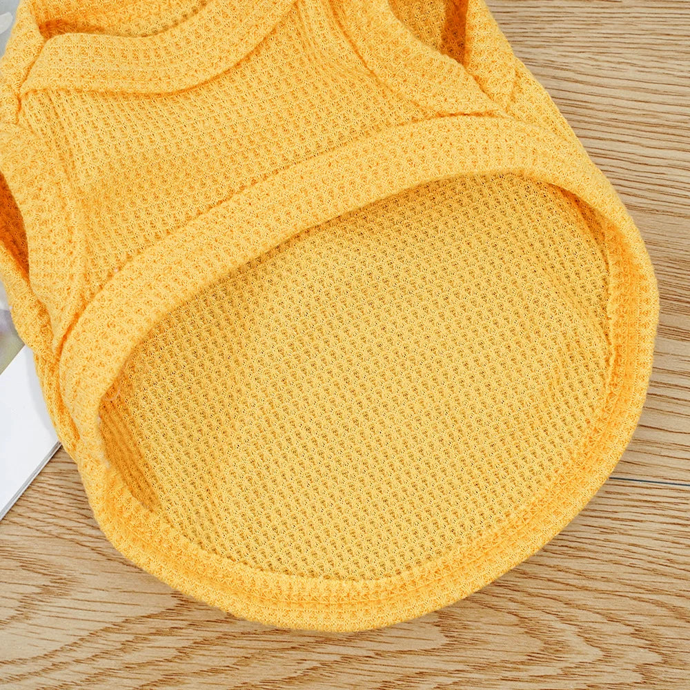 Cat Clothes Waffle Bear Pet Vest Summer Teddy Chihuahua Small Dog Two legged Clothes Cat Puppy Clothes Pet Costume