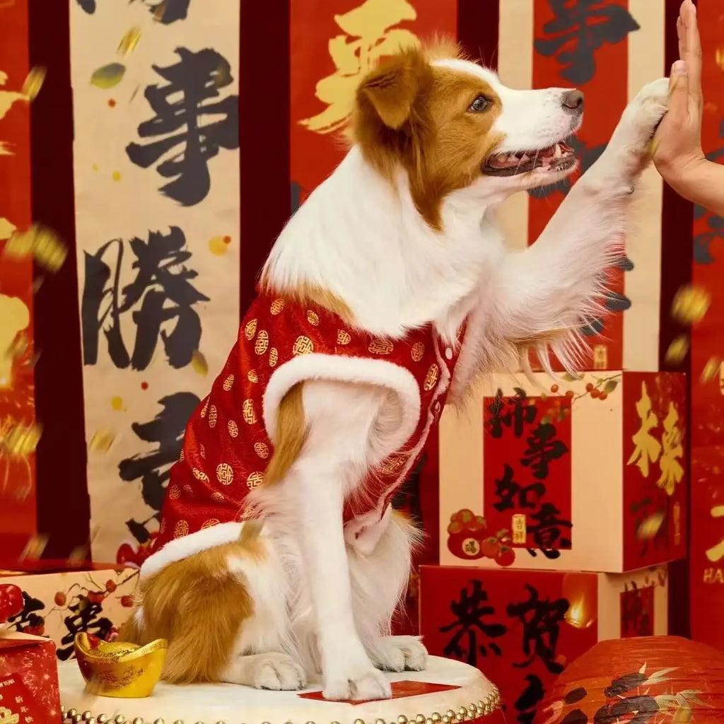 Chinese traditional pattern pet clothing, warm and comfortable dog clothes, suitable for medium to large dogs such as Golden Ret