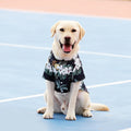 Pet Dog Clothes Puppy Vest T-shirt Shirt Cute Spring Pet Costume Roupas Para caes Bottoming Shirt Dog Costume Puppy Clothes