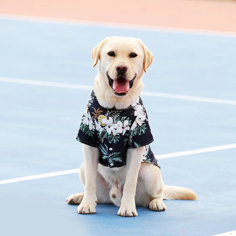 Pet Dog Clothes Puppy Vest T-shirt Shirt Cute Spring Pet Costume Roupas Para caes Bottoming Shirt Dog Costume Puppy Clothes