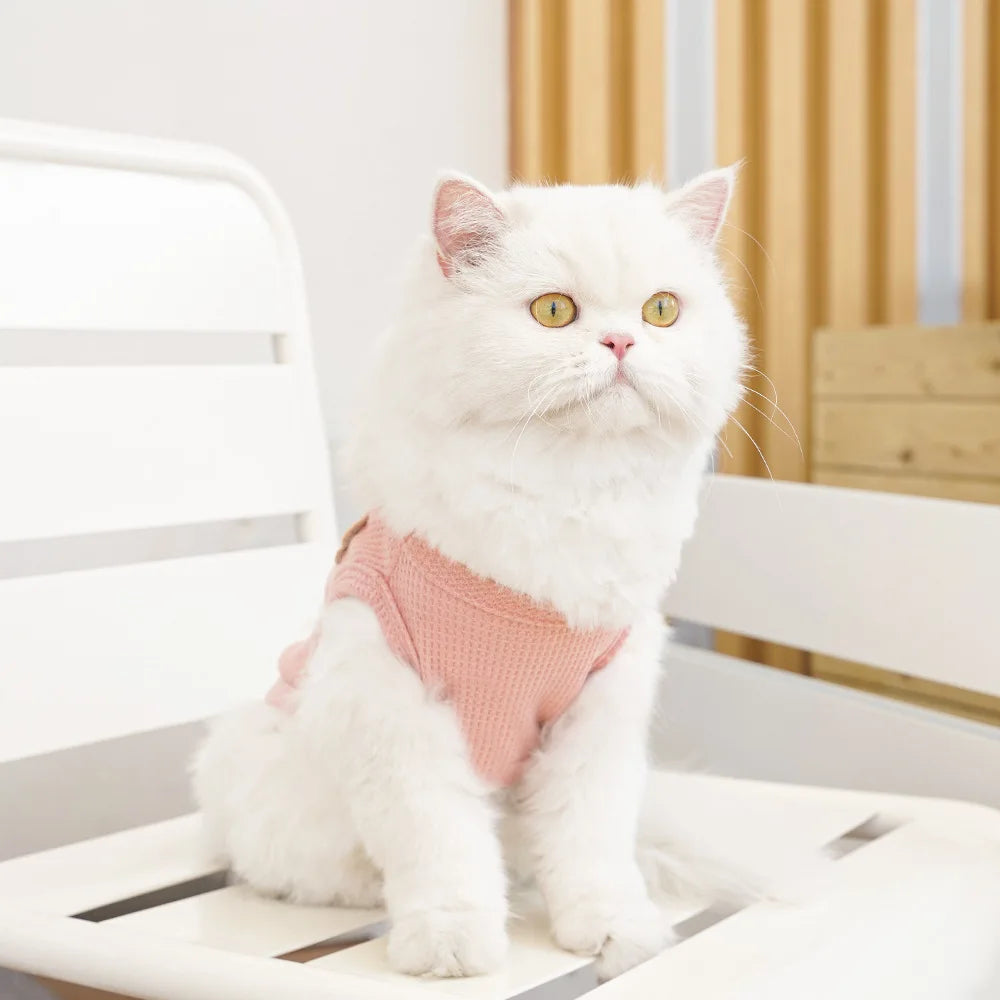Cat Clothes Waffle Bear Pet Vest Summer Teddy Chihuahua Small Dog Two legged Clothes Cat Puppy Clothes Pet Costume