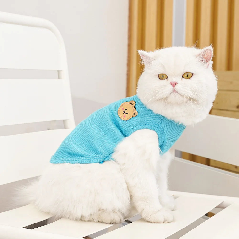 Cat Clothes Waffle Bear Pet Vest Summer Teddy Chihuahua Small Dog Two legged Clothes Cat Puppy Clothes Pet Costume