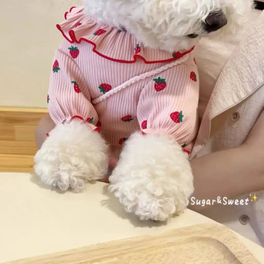 Pet Clothes,Dog T-Shirt Puppy Clothes Dog Skirt Dress Cats Clothes for Small Dogs Cats Puppy